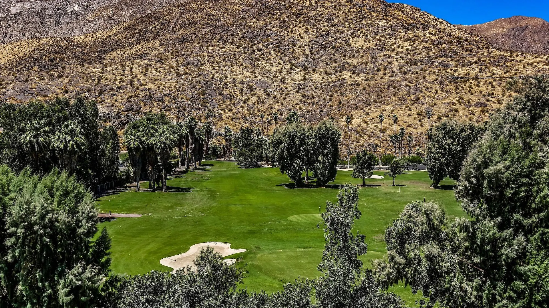 ****  Hotel Hyatt Palm Springs Estados Unidos